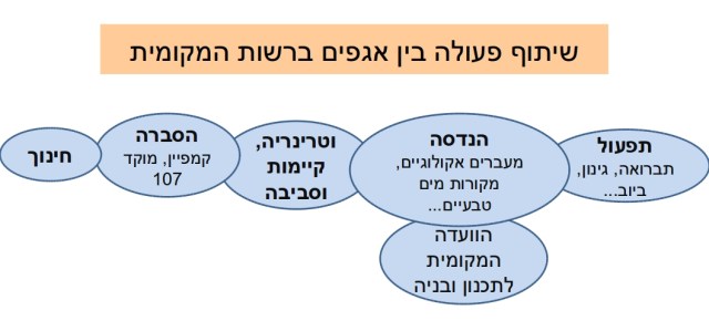 אגפים ברשות המקומית