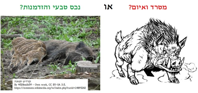 מטרד או נכס