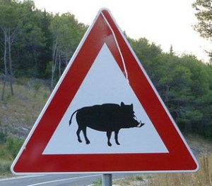 Wild-Boar-Road-Street-Sign-594473