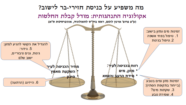 אקולוגיה התנהגותית. מודל קבלת החלטות