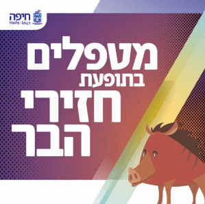 Screenshot from 2020-05-23 17-20-25